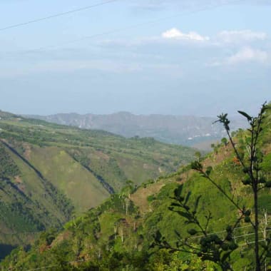 Photo for Laureano Chavarro