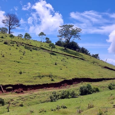 Photo for Manuel Castañeda