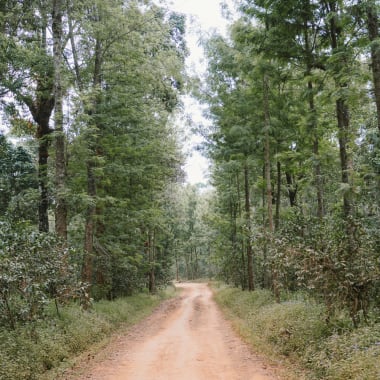 Photo for Haider Abamecha Decaf