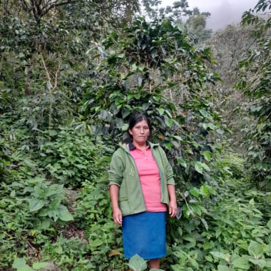 Photo for Isavel Lopez Pablo