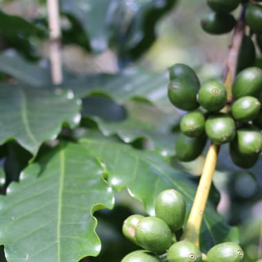 Photo for Rolando Lopez