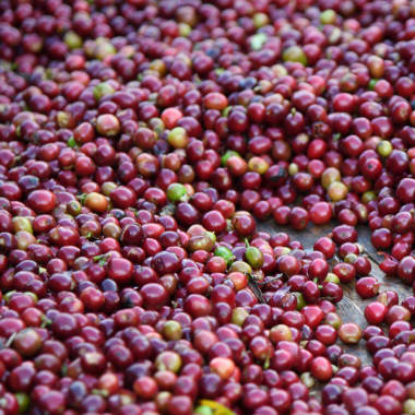 Photo for Jabanto Producers