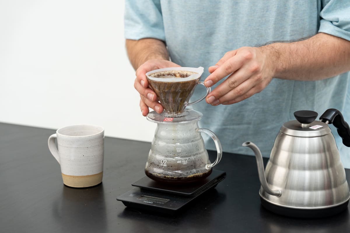 How to brew Hario V60 - Sample Coffee Roasters