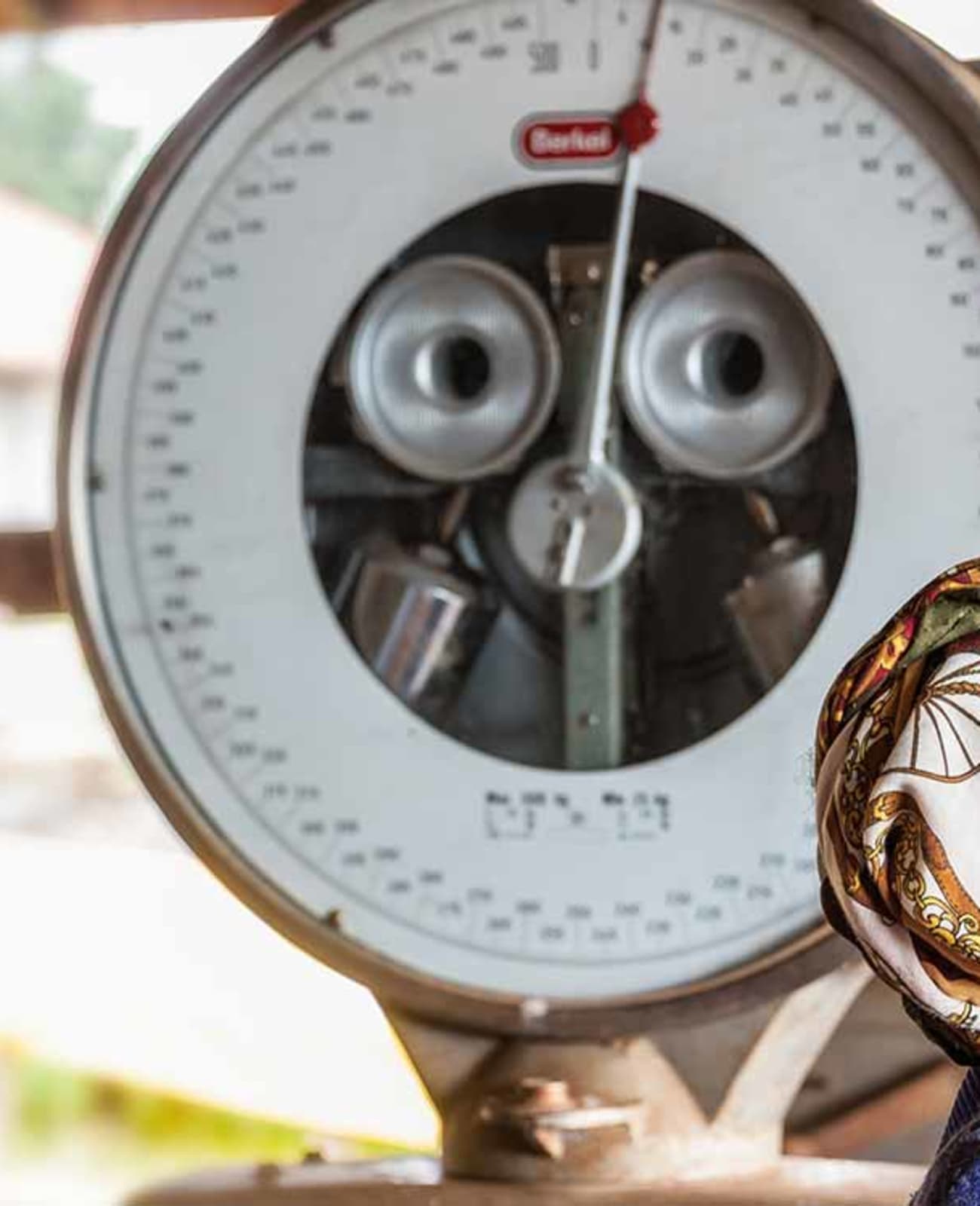 Photo of a bag of Kianyangi