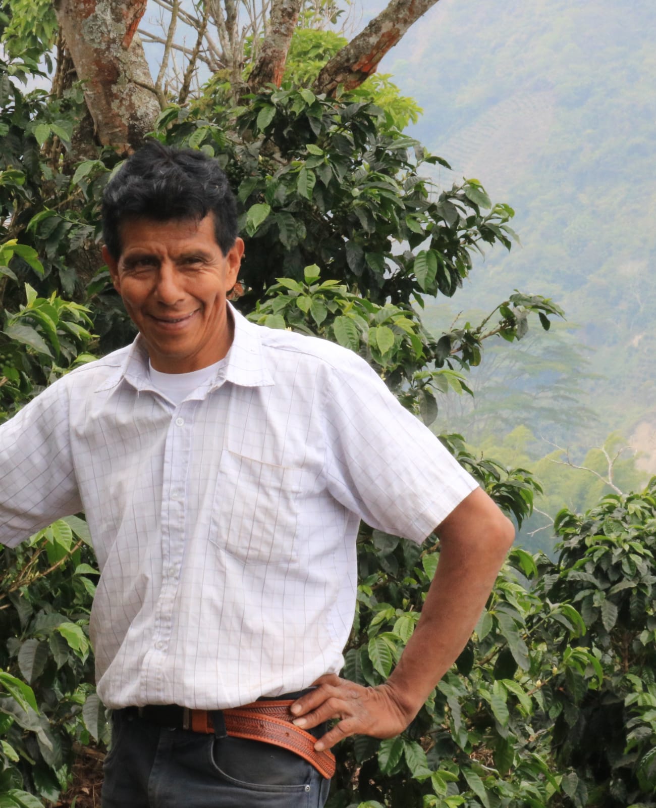 Photo of a bag of Carlos Imbachi