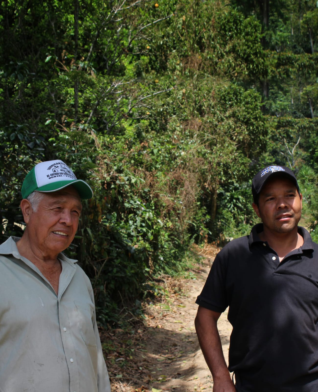Photo of a bag of La Ventaja