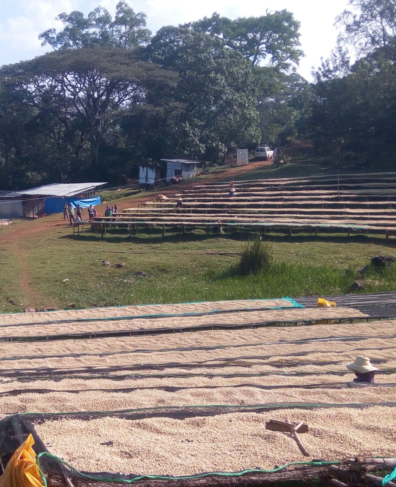 Photo of a bag of Yukro