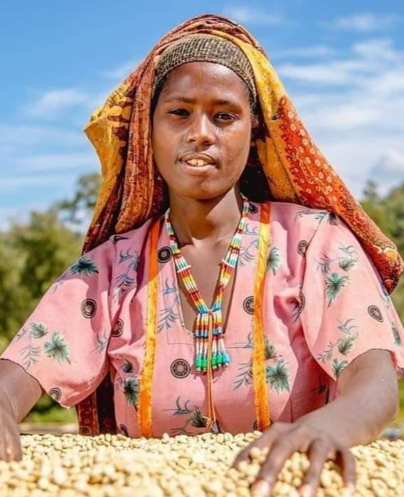 Photo of a bag of West Arsi Sebo