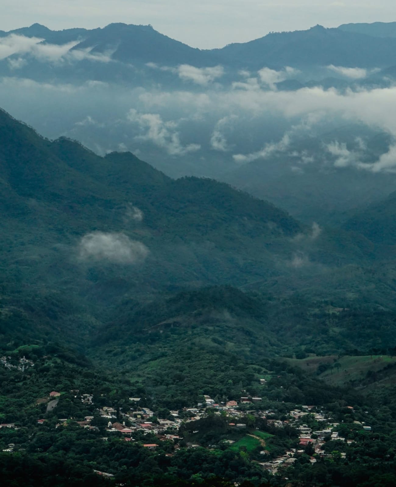Photo of a bag of Fausto Romo