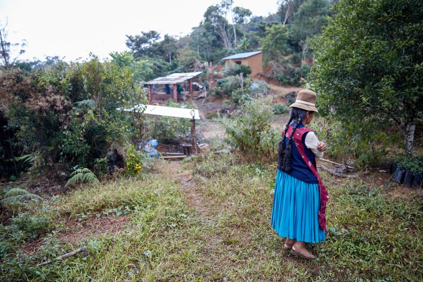Farmers working in Roxana’s coffee farm.