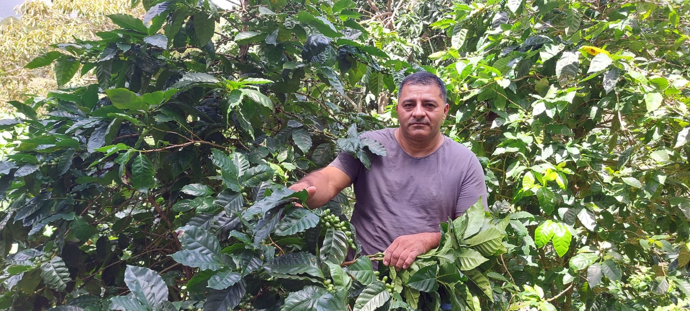 Angelino Landaverde's farm.