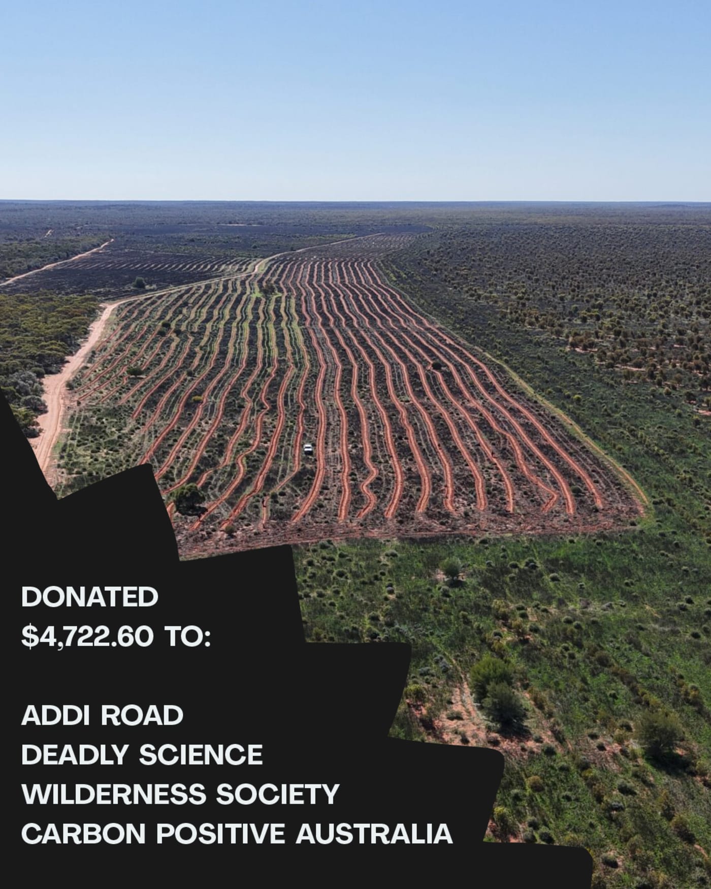 Graphics with data about our 2025 coffees.