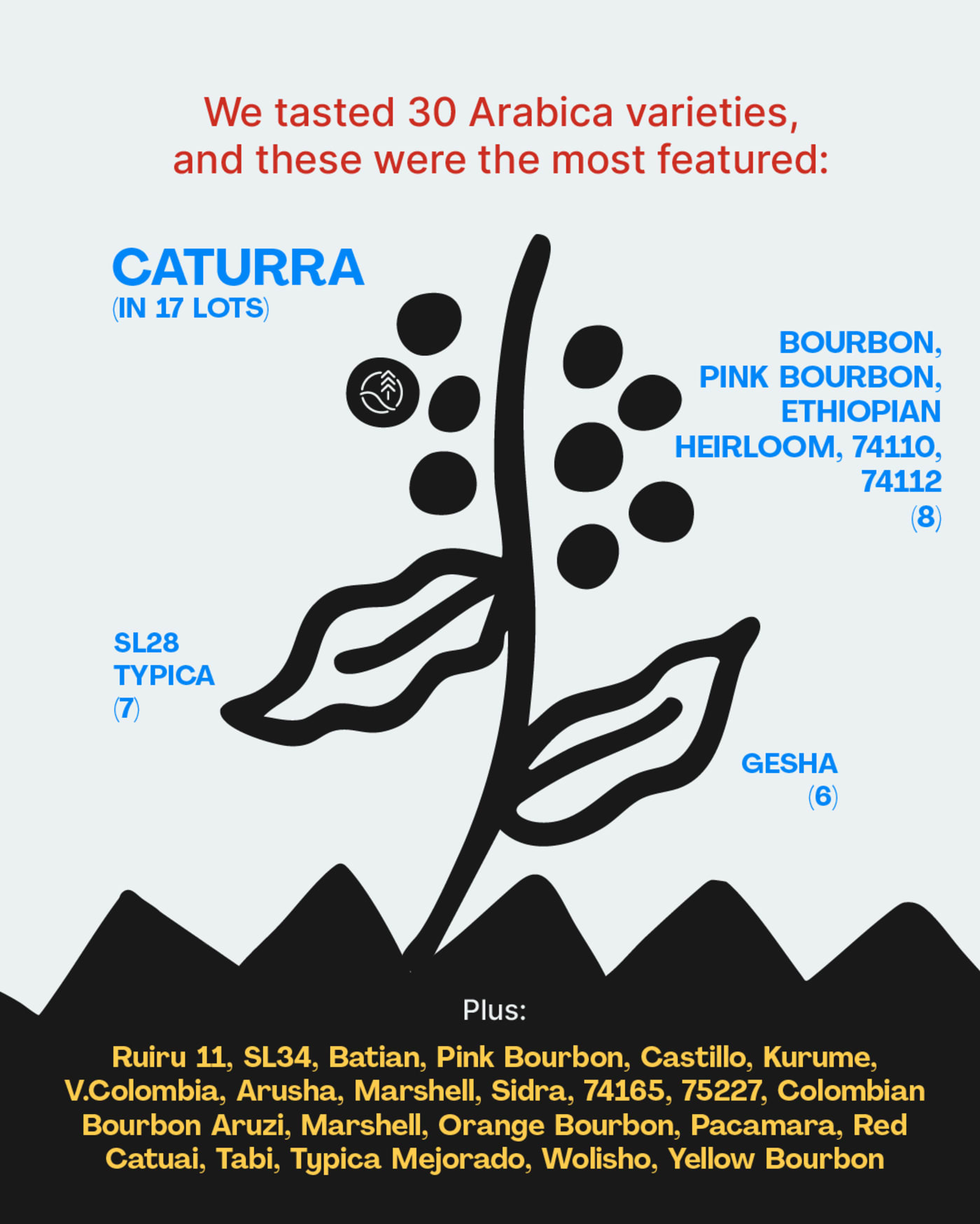 Graphics with data about our 2025 coffees.