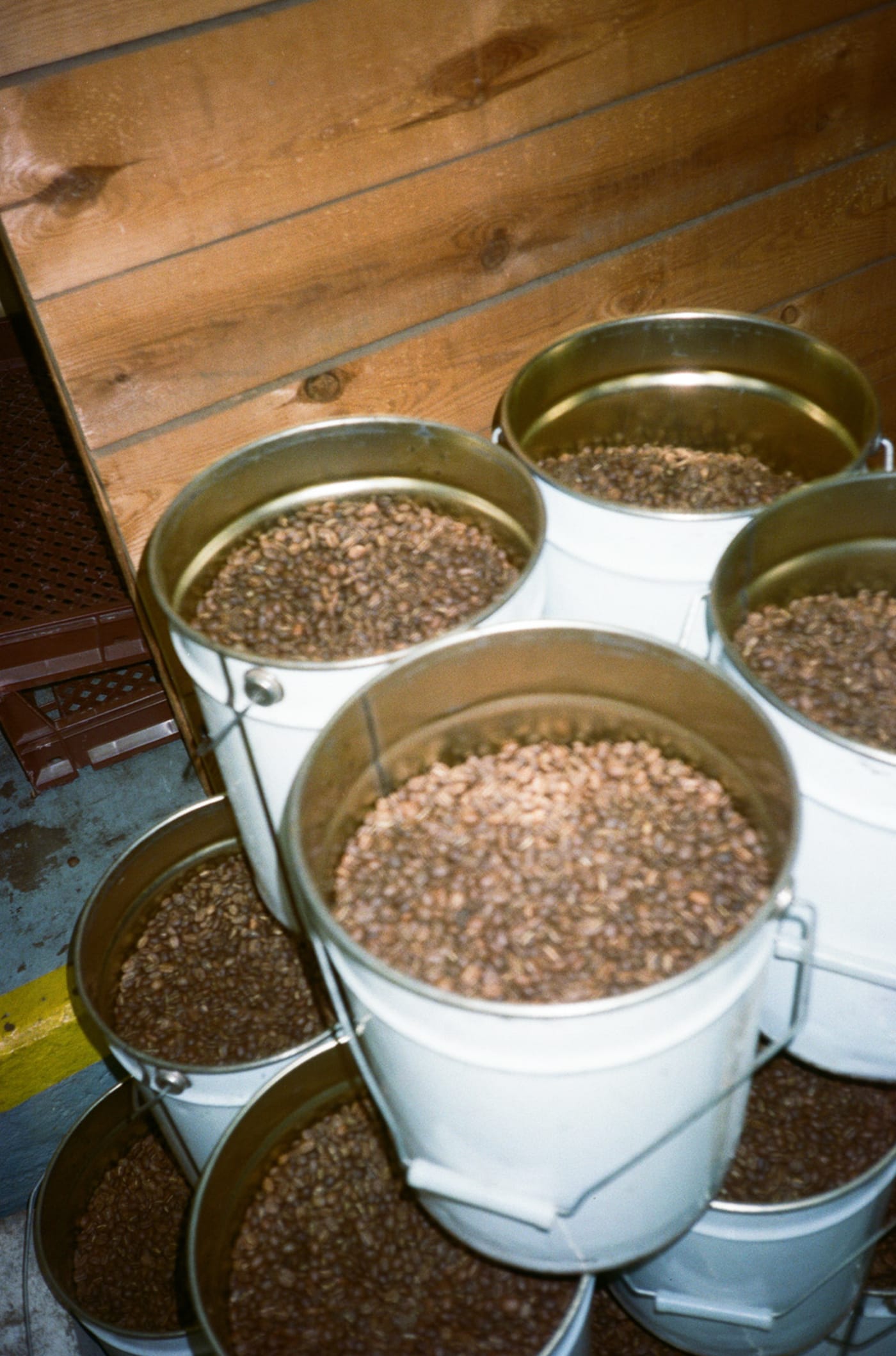 Roasting in our Loring S35.