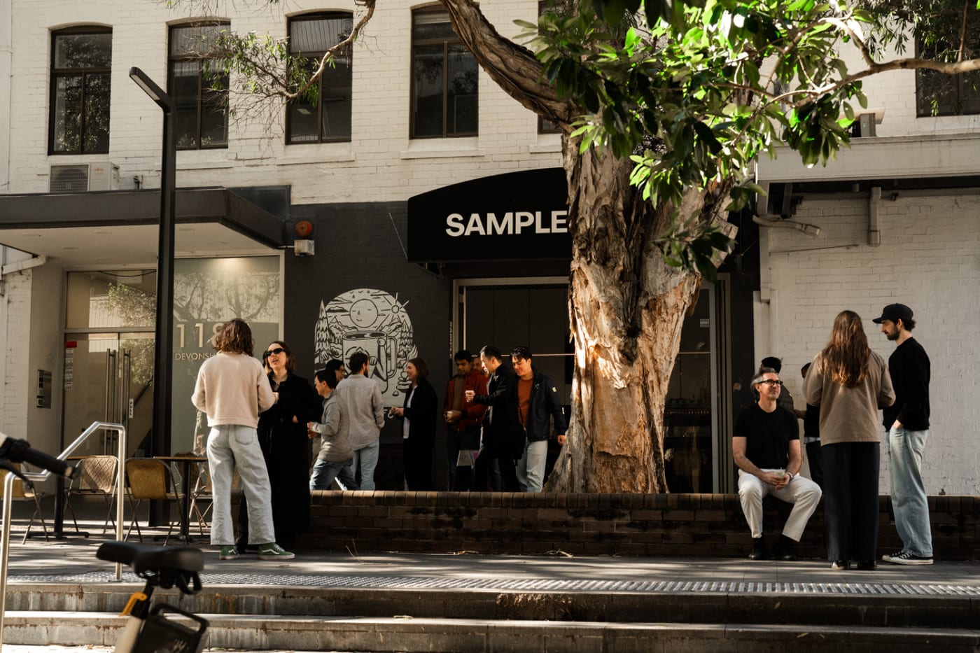 Coffee tree leaves at Sample Coffee Surry Hills.