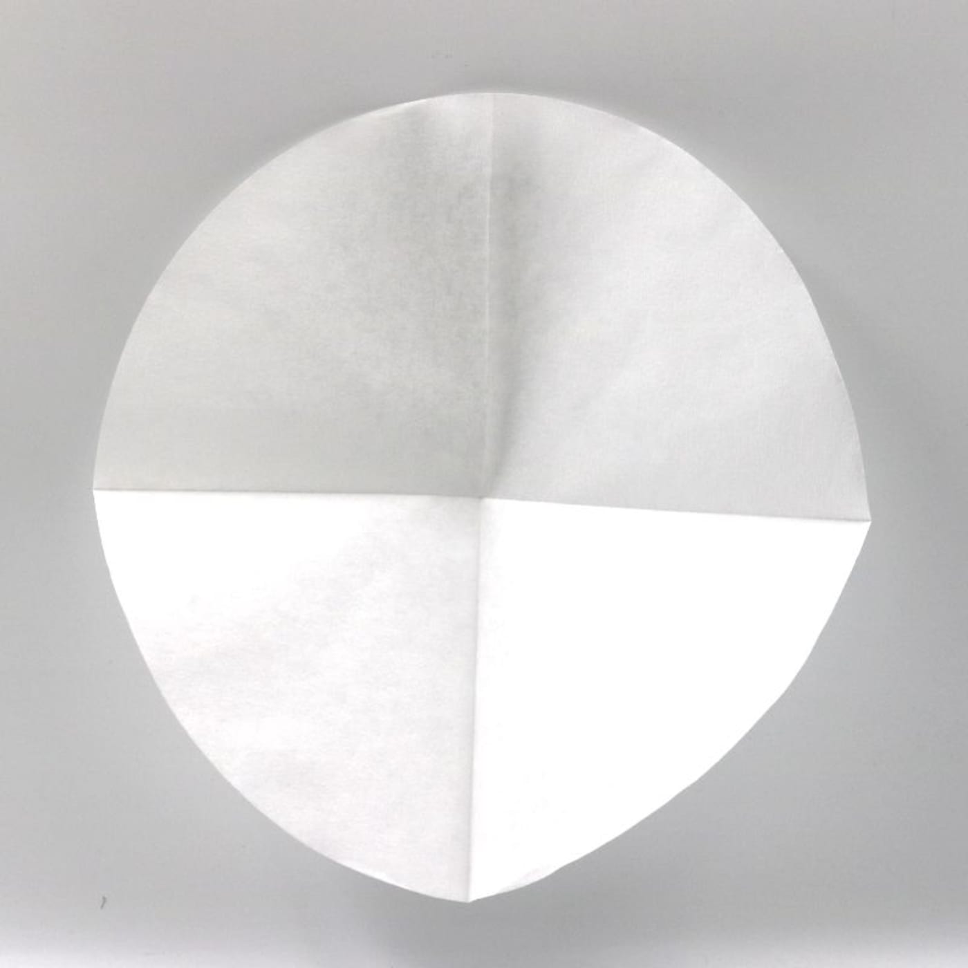 A Bruer cone filter, unfolded.