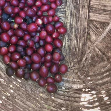 Coffee-el-valle