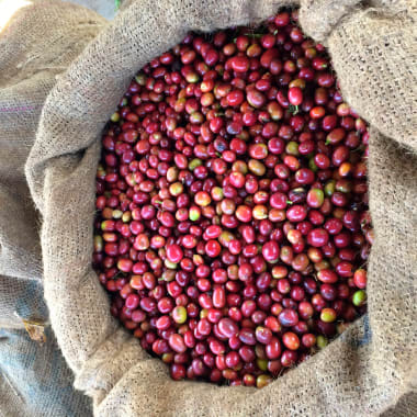 Ethiopia-generic