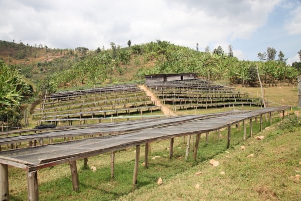 Rwanda Kivubelt Murundo