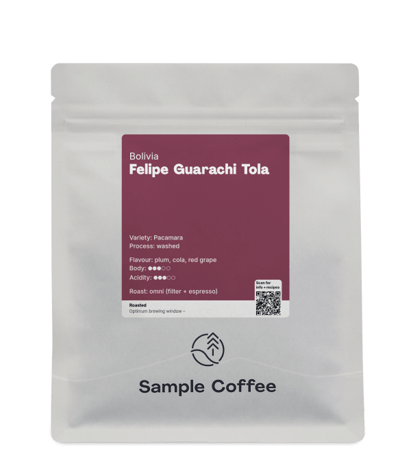 Photo of Felipe Guarachi Tola