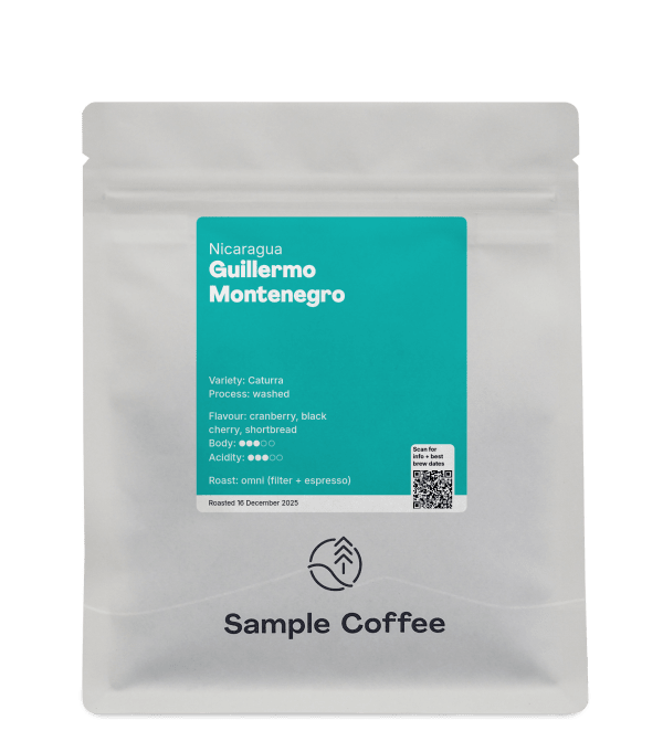 Order online: Guillermo Montenegro 