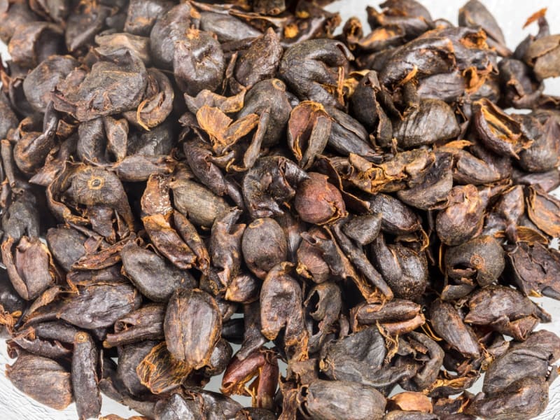 How to brew cascara tea