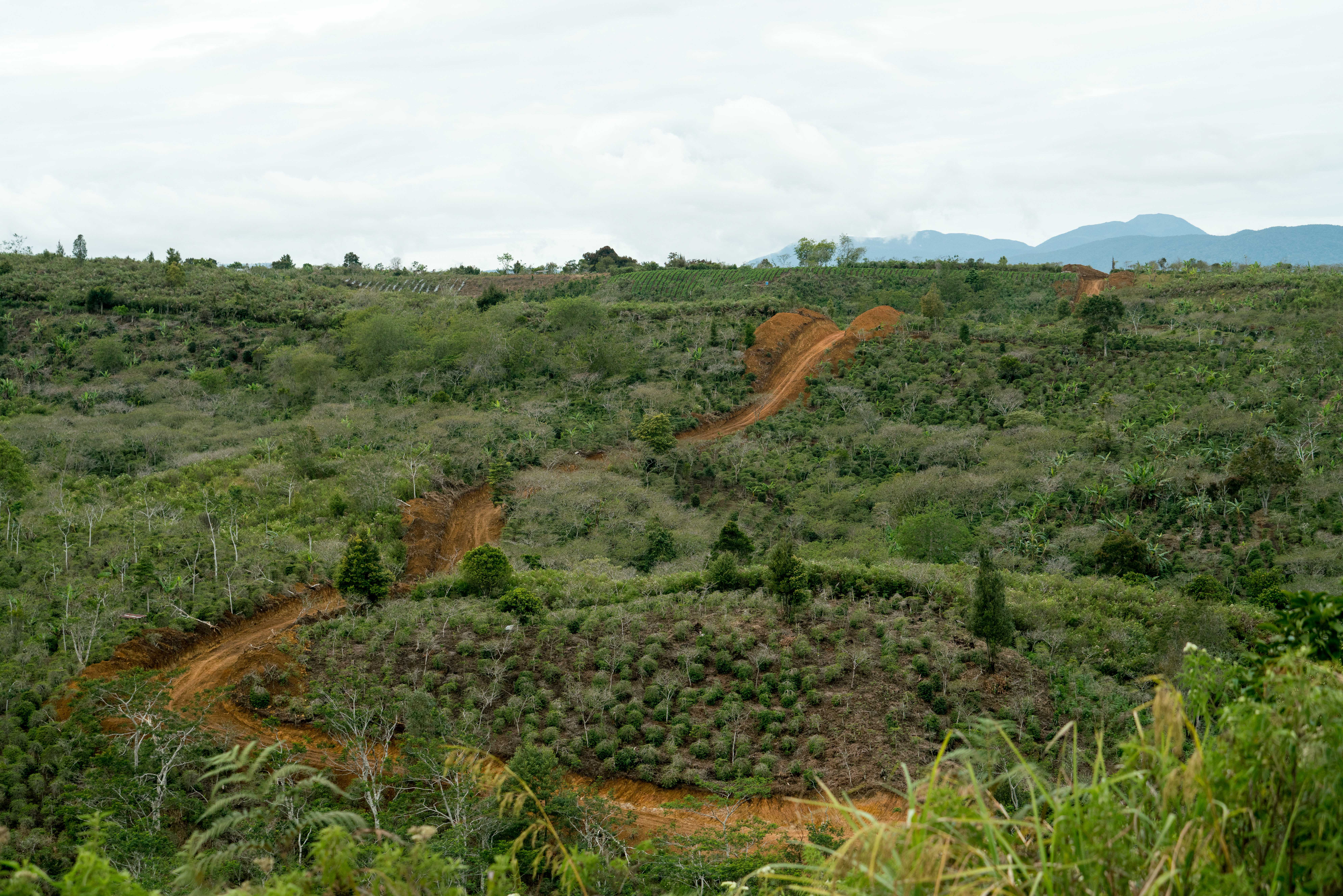 Photo for Asman Gayo Mill