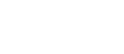 Logo Polaroid