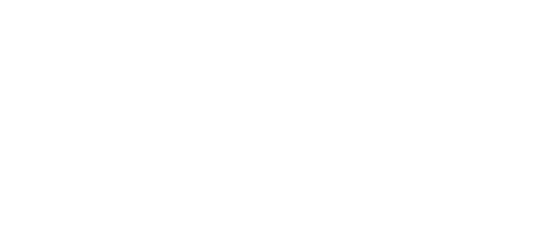 Logo Polaroid
