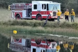 wildland pond pumping
