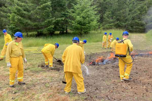 Brigade Wildland Fire Training
