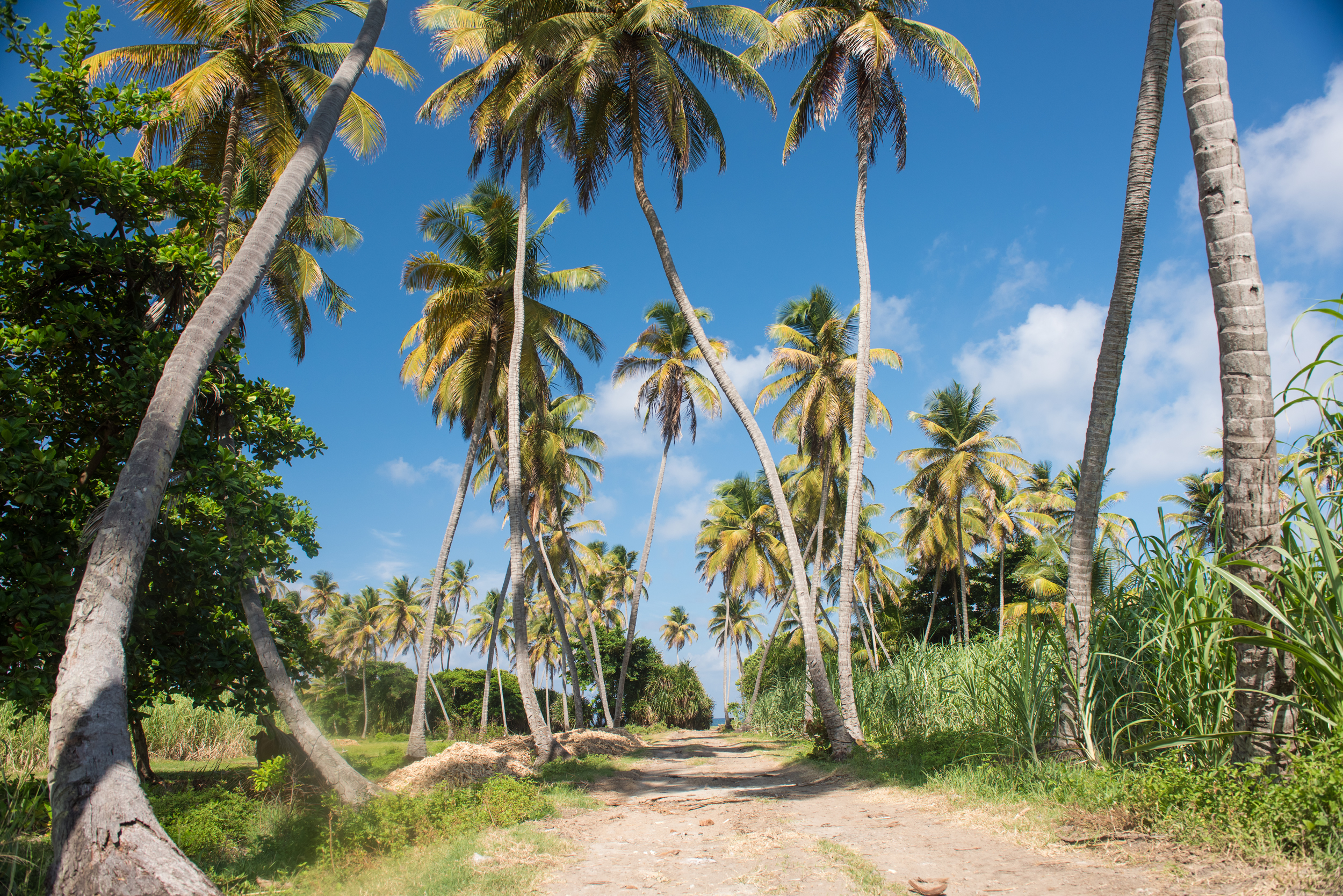 Drive Grenada