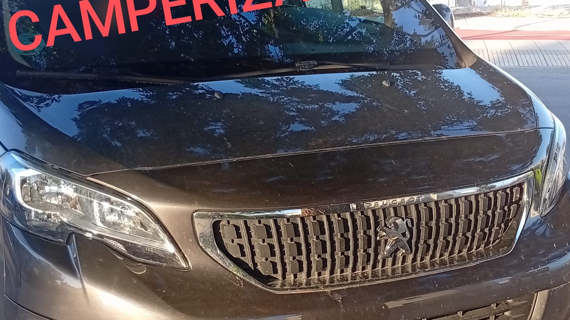 Peugeot Traveller 
