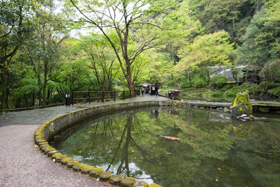 A man-made pond with a koi fish