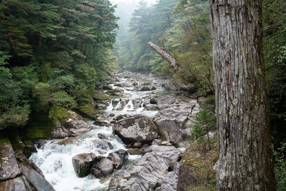 A river flowing through large rocks with fog in the sky
