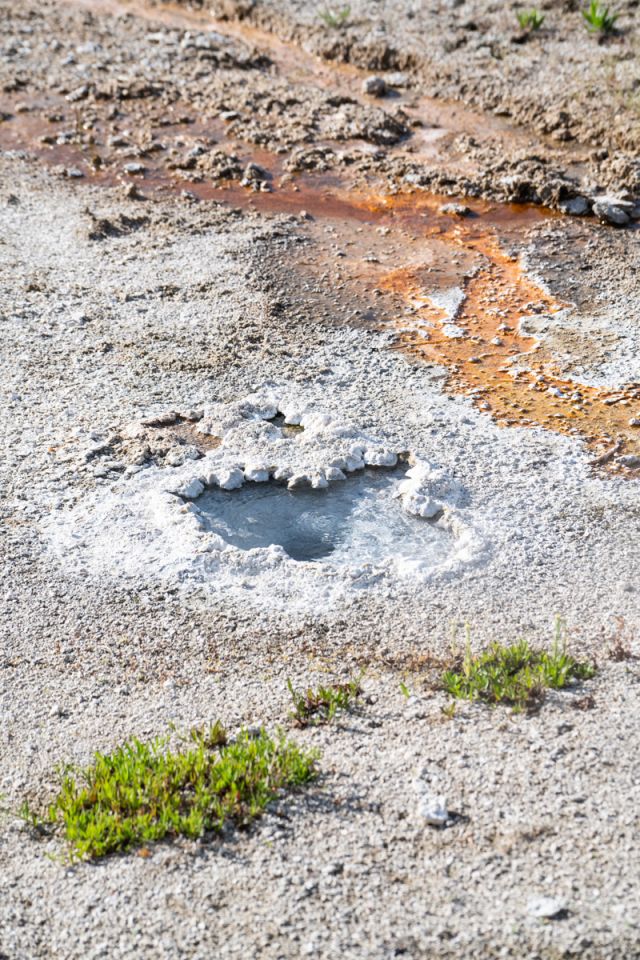 A small hot spring with clear water.