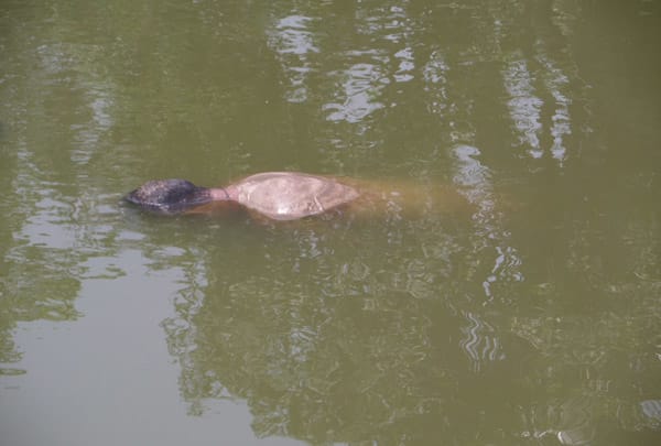 মুক্তাগাছায় পুকুর থেকে এক ব্যক্তির লাশ উদ্ধার মুক্তাগাছায় পুকুর থেকে এক ব্যক্তির লাশ উদ্ধার পুকুরে লাশ