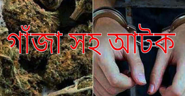 মুক্তাগাছায় ১৪০ কেজি গাঁজাসহ আটক ৩ মুক্তাগাছায় ১৪০ কেজি গাঁজাসহ আটক ৩ মুক্তাগাছায় ১৪০ কেজি গাঁজাসহ আটক ৩