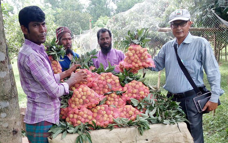 সমন্বিত চাষে সফল কৃষক মুক্তাগাছার আলাল মিয়া সমন্বিত চাষে সফল কৃষক মুক্তাগাছার আলাল মিয়া