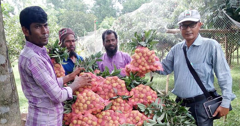সমন্বিত চাষে সফল কৃষক মুক্তাগাছার আলাল মিয়া সমন্বিত চাষে সফল কৃষক মুক্তাগাছার আলাল মিয়া