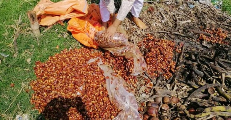 মুক্তাগাছায় ভেজাল বিরোধী অভিযান মুক্তাগাছায় ভেজাল বিরোধী অভিযান