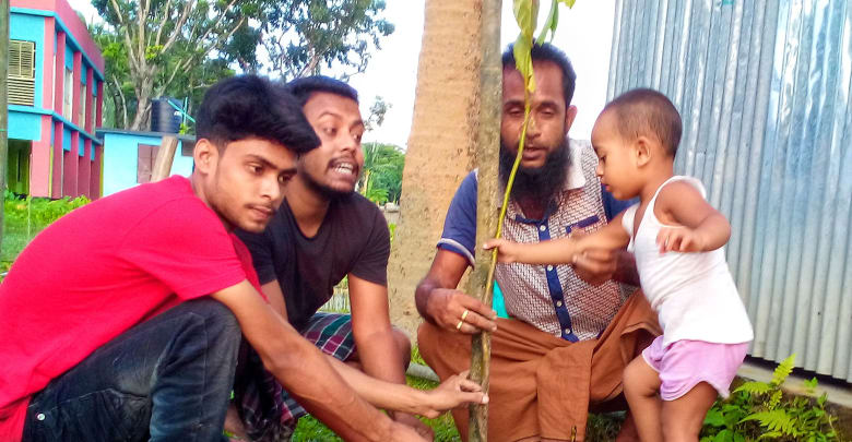 শশা খামারের বাজার সমাজ কল্যাণ সংস্থার বৃক্ষরোপণ কর্মসূচি অব্যাহত শশা খামারের বাজার সমাজ কল্যাণ সংস্থার বৃক্ষরোপণ কর্মসূচি অব্যাহত