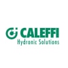 CALEFFI VEILIGHEIDSKLEP 1/2" 3 BAR + MANOMETER