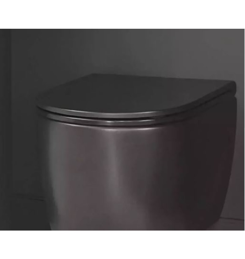 DETREMMERIE NO LIMIT TOILET KAMELEON ANTRACIET MAT RIMLESS SOFTCLOSE (TCE1ANM) 00264687 img