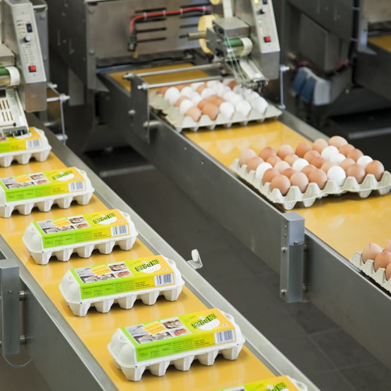 What is egg grading.jpg