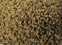 Trachyspermum ammi / Ajwain visual