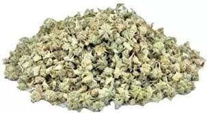 Tribulus terrestris / Gokhru visual