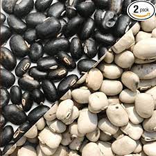 Mucuna pruriens / Kaunch Beej visual