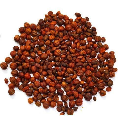 Celastrus paniculatus /  Malkangni visual