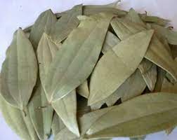 Cinnamomum tamala / Tejpatta visual